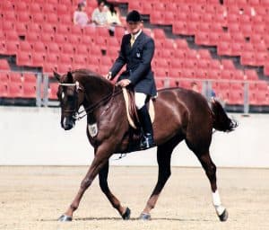 0190: Simon Kale LC - Australian Medal for Equestrian Sport Recipient cover art