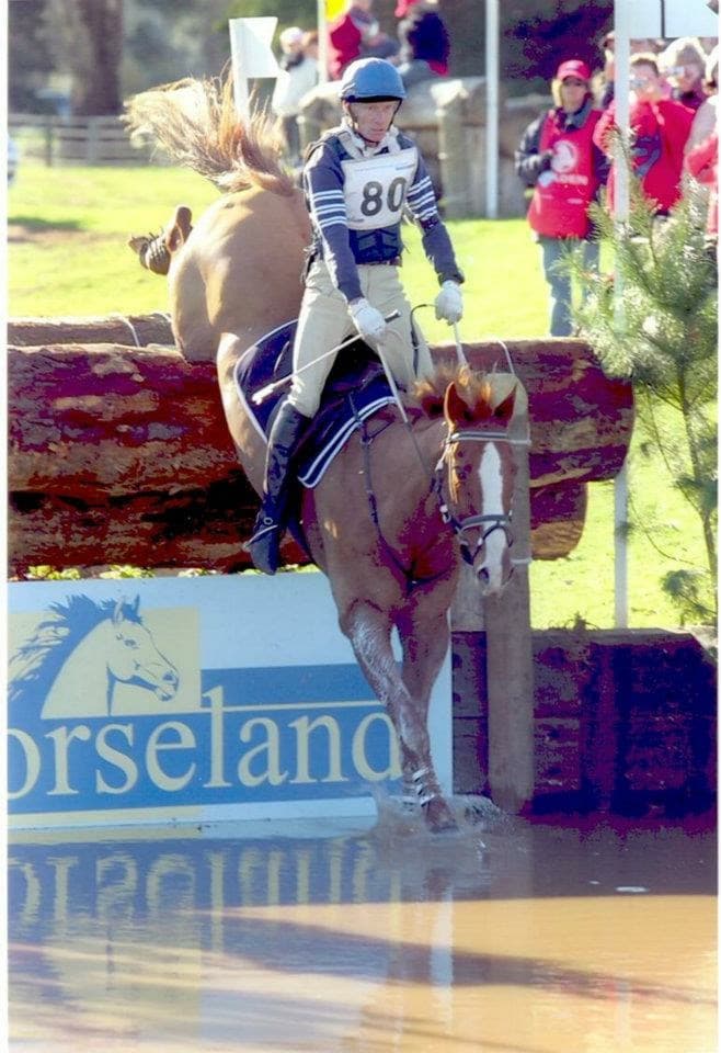 0378: Jonathan McLean 7 - Ten Points to Remember When Training Your Horse cover art