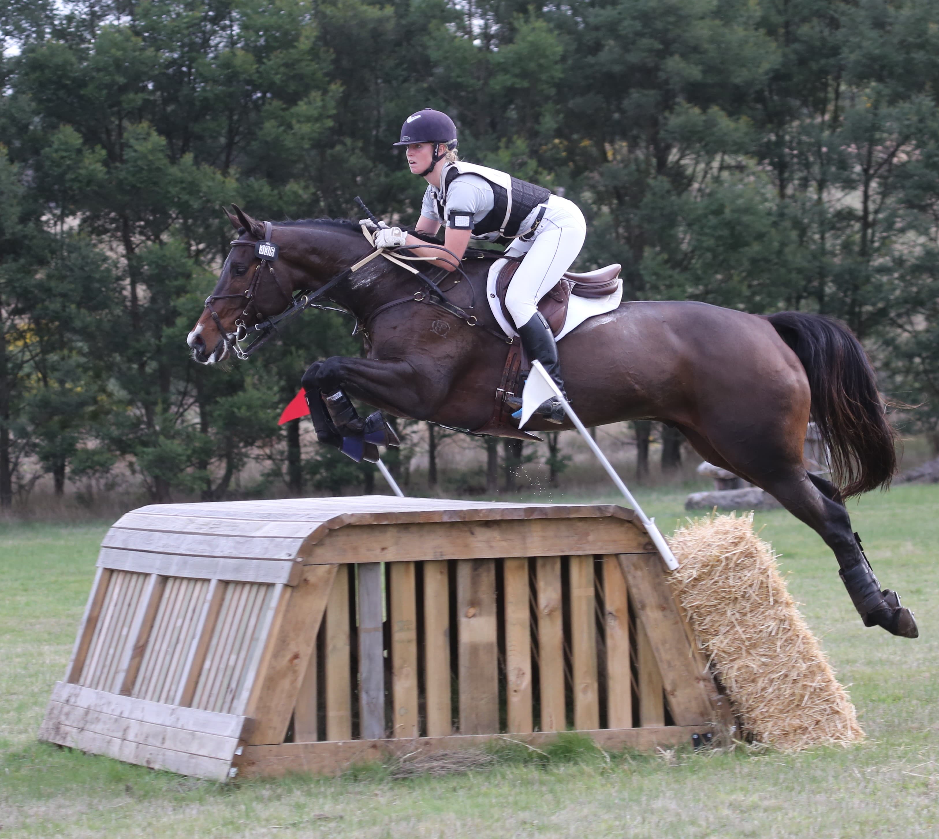 0421: Nicole Stewart LC -Helped Transform The Riding and Lives of Thousands of Equestrian Athletes Around The World (Listeners' Choice) cover art