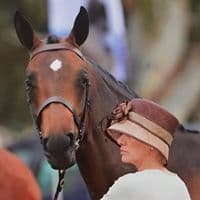 0797: Andrea Ridel-Carrison LC - Sometimes Equine Specialist Veterinary Nurses Need to be Mediators (Listeners' Choice) cover art