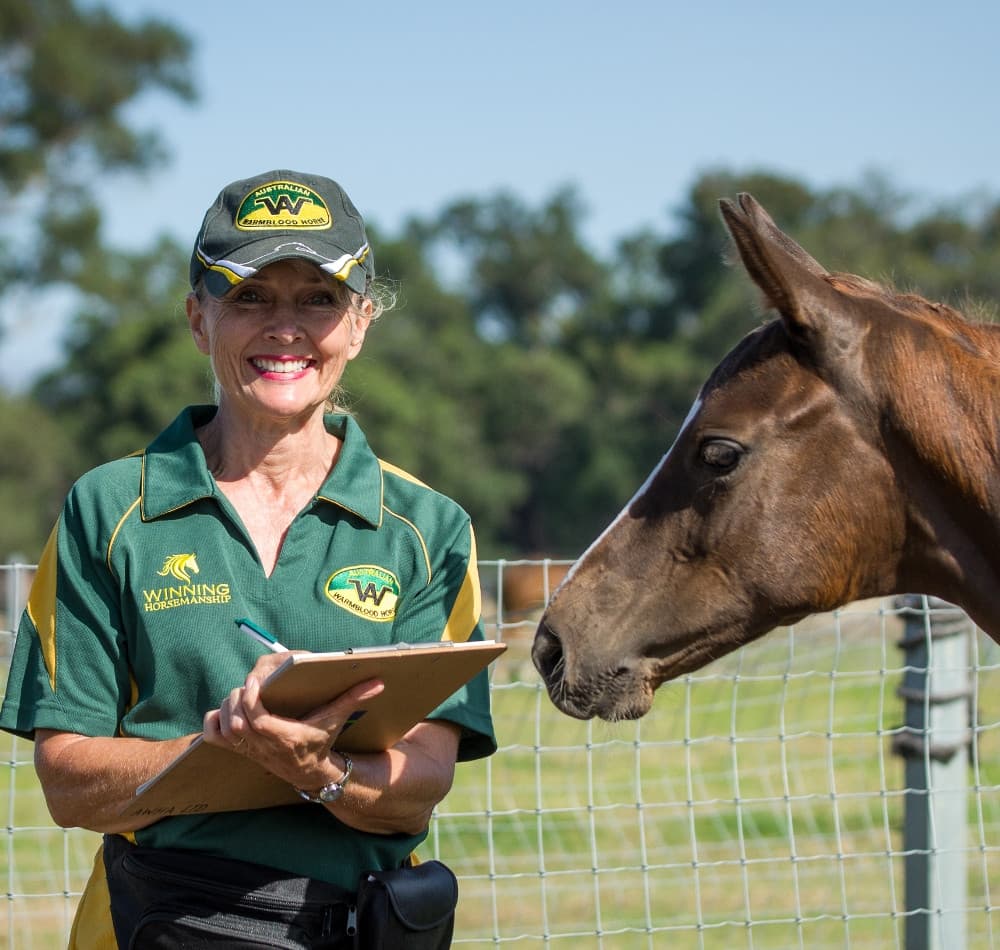 0340: Joanne Verikios 4 - Ten Tips When Shopping For A Dressage, Showjumping or Eventing Competition Prospect cover art