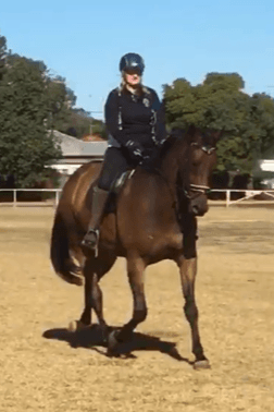 0578: Rena Figueredo LC - Horses Are a Wonderful Therapy For People Who Live a Stressful Life (Listeners' Choice) cover art