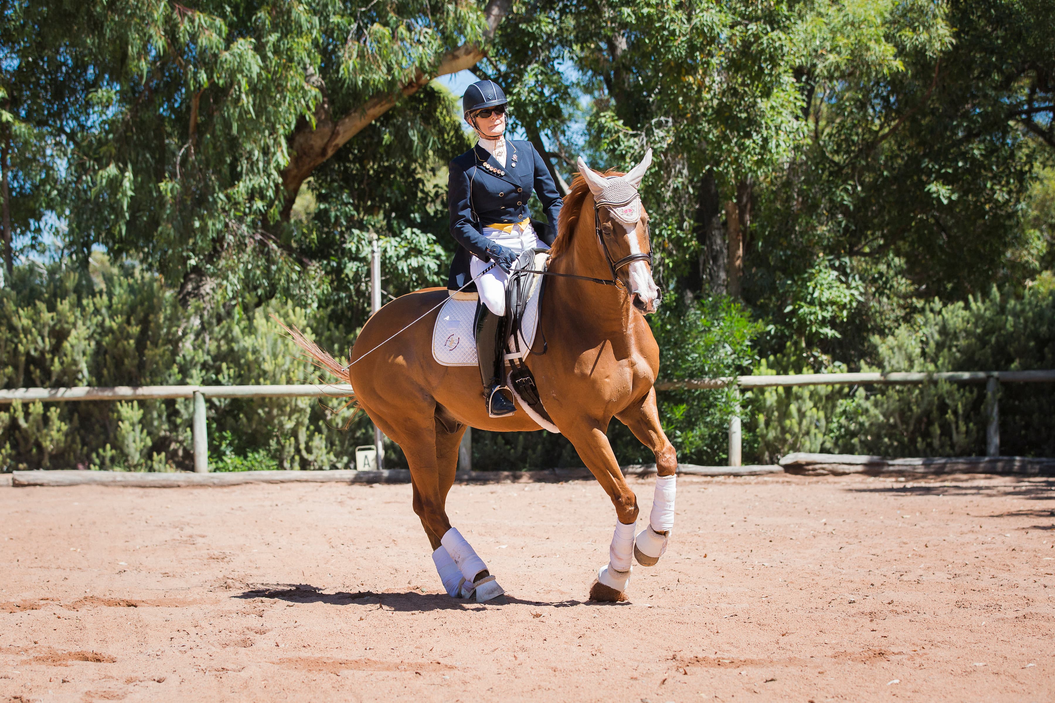 0345: Wendy Barker LC - Using Poles to Cross Train Dressage Horses cover art