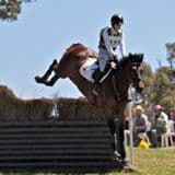 0303: Tarsha Hammond LC - It is All About Timing and It Is All About Repetition. Horses Don't Have to always Jump Big, They Just have to Jump Well Repetitively cover art