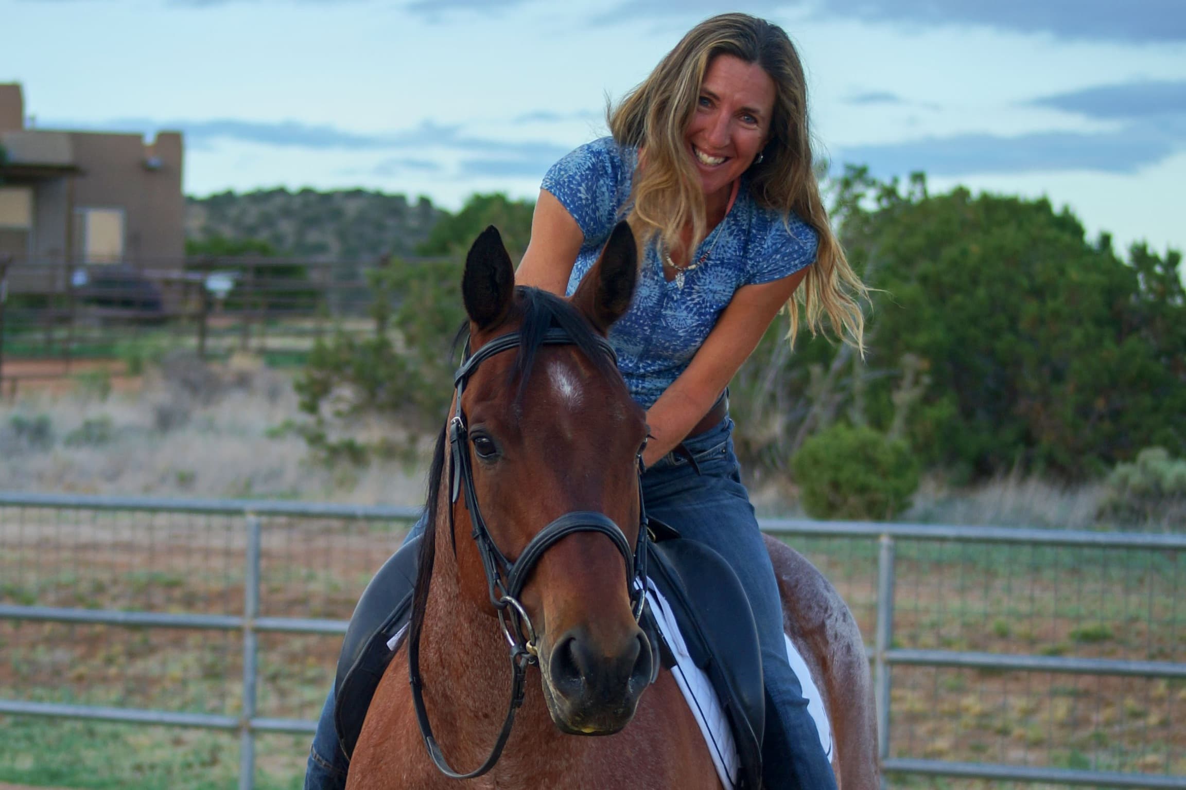 0774: Katrin Silva 2 - Confirming that Your Horse's Training is Going in the Right Direction cover art