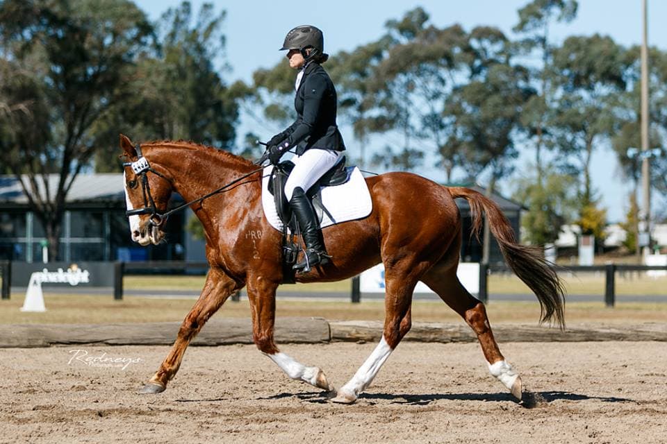 0236: Heidi Hewitson - When Things Are Not Going Well With Your Horse, Stop, Think and Then Start Again cover art