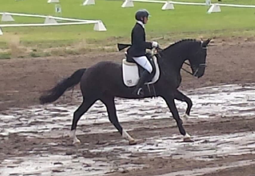 0372: Ann Behringer LC - Working With Horses Is A Good Lifestyle cover art