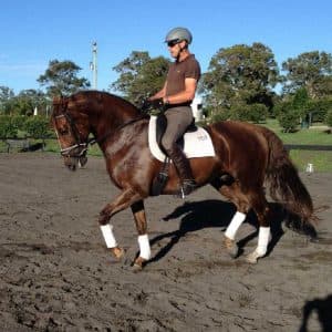 0743: Carlos DeCleermaecker LC - Ask Why? . . . is the canter good enough, is the horse sitting enough, is there enough relaxation in the horse for a flying change?  (Listeners' Choice) cover art