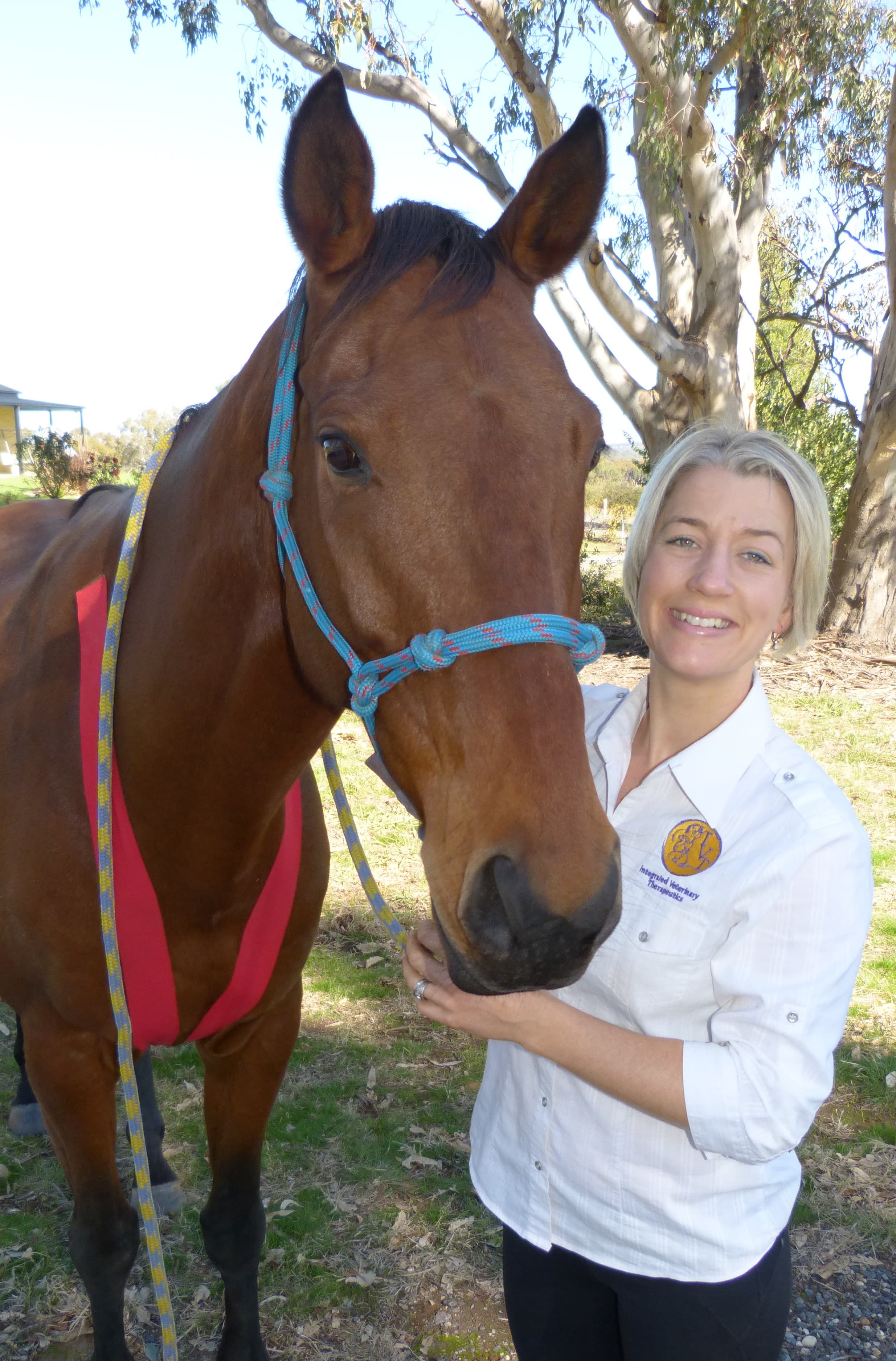 0519: Dr Raquel Butler 3 - "Ten Questions to Ask When Your Horse is 'Behaving Badly' " cover art