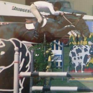 0882: Ben Netterfield 5 - Burn Out in the Equestrian Industry with Ben Netterfield cover art